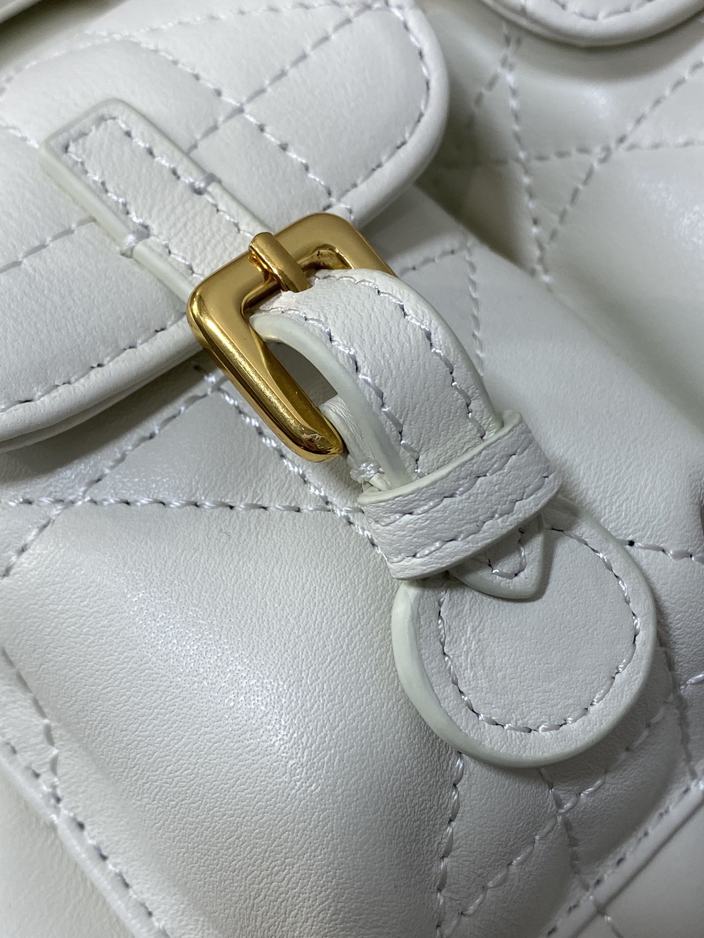 Dior Caro Fall/Winter Backpack