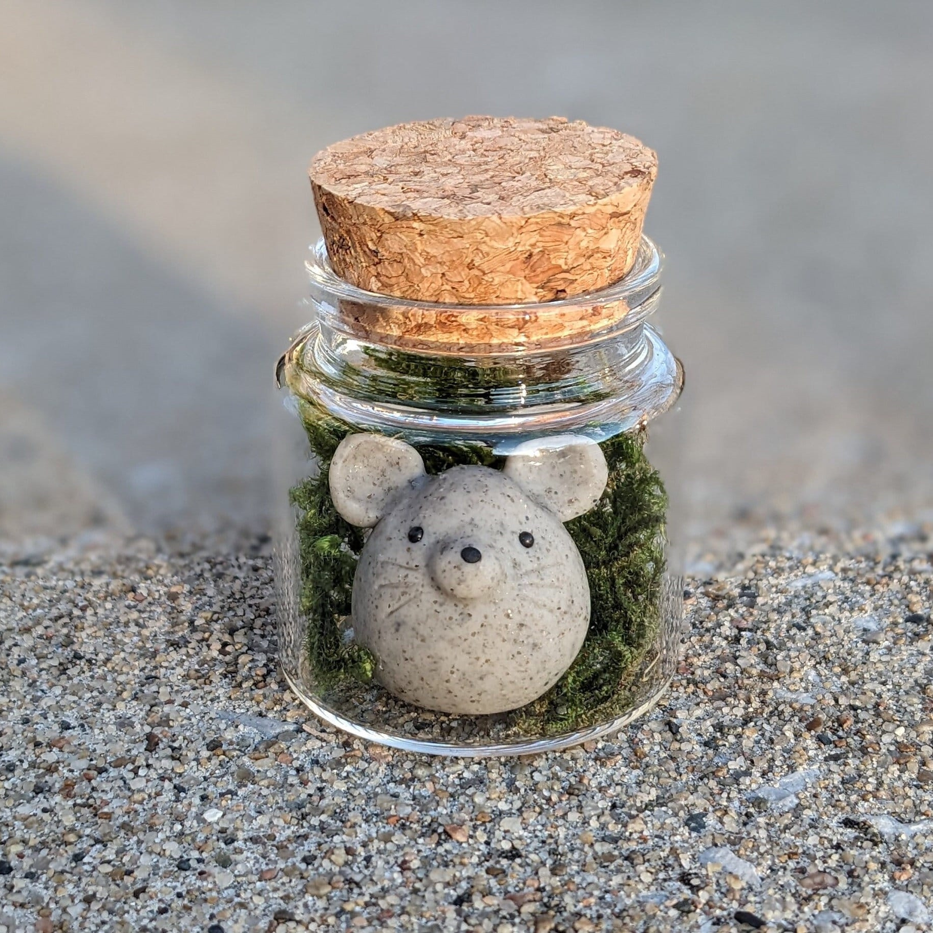 On Sale🔥Adopt A Rock Pet