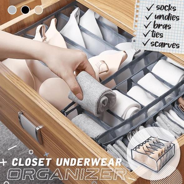 (🔥CLEARANCE SALE NOW-48% OFF)Closet Underwear Organizer (BUY 5 GET 3 FREE)