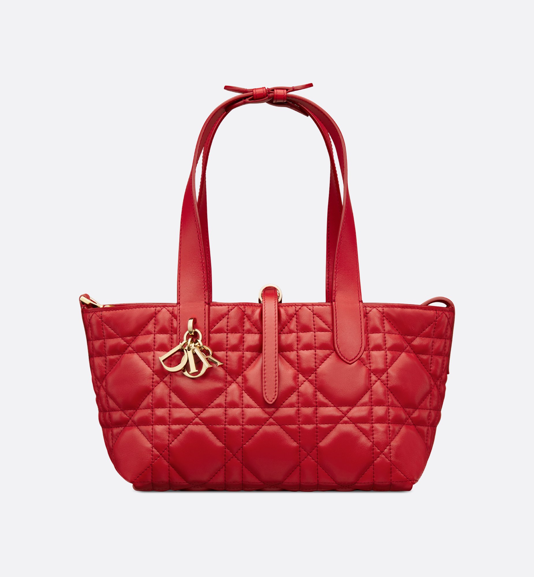Dior Small Dioramour Dior Toujours Bag M2822OSHJ_M334