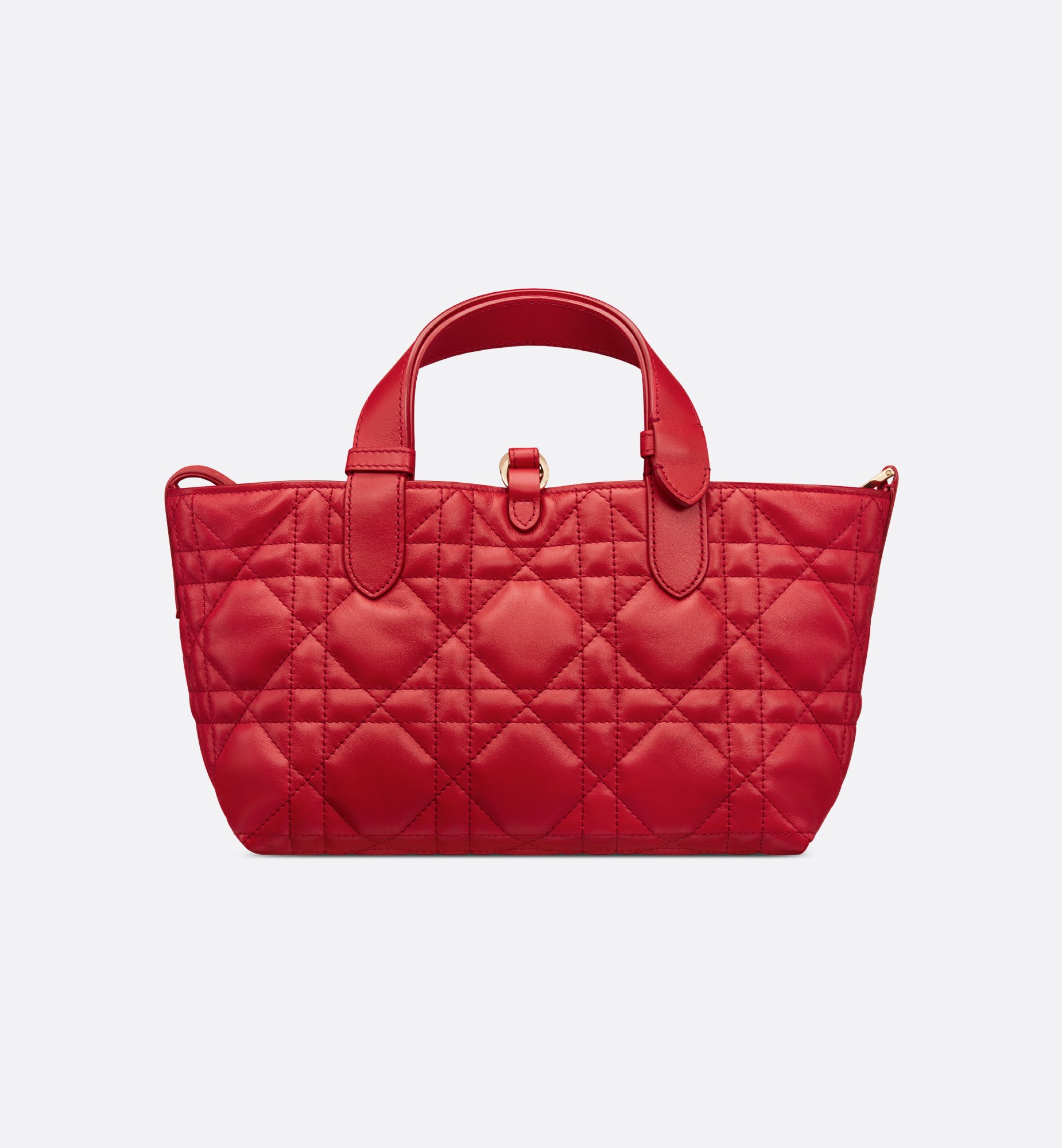Dior Small Dioramour Dior Toujours Bag M2822OSHJ_M334