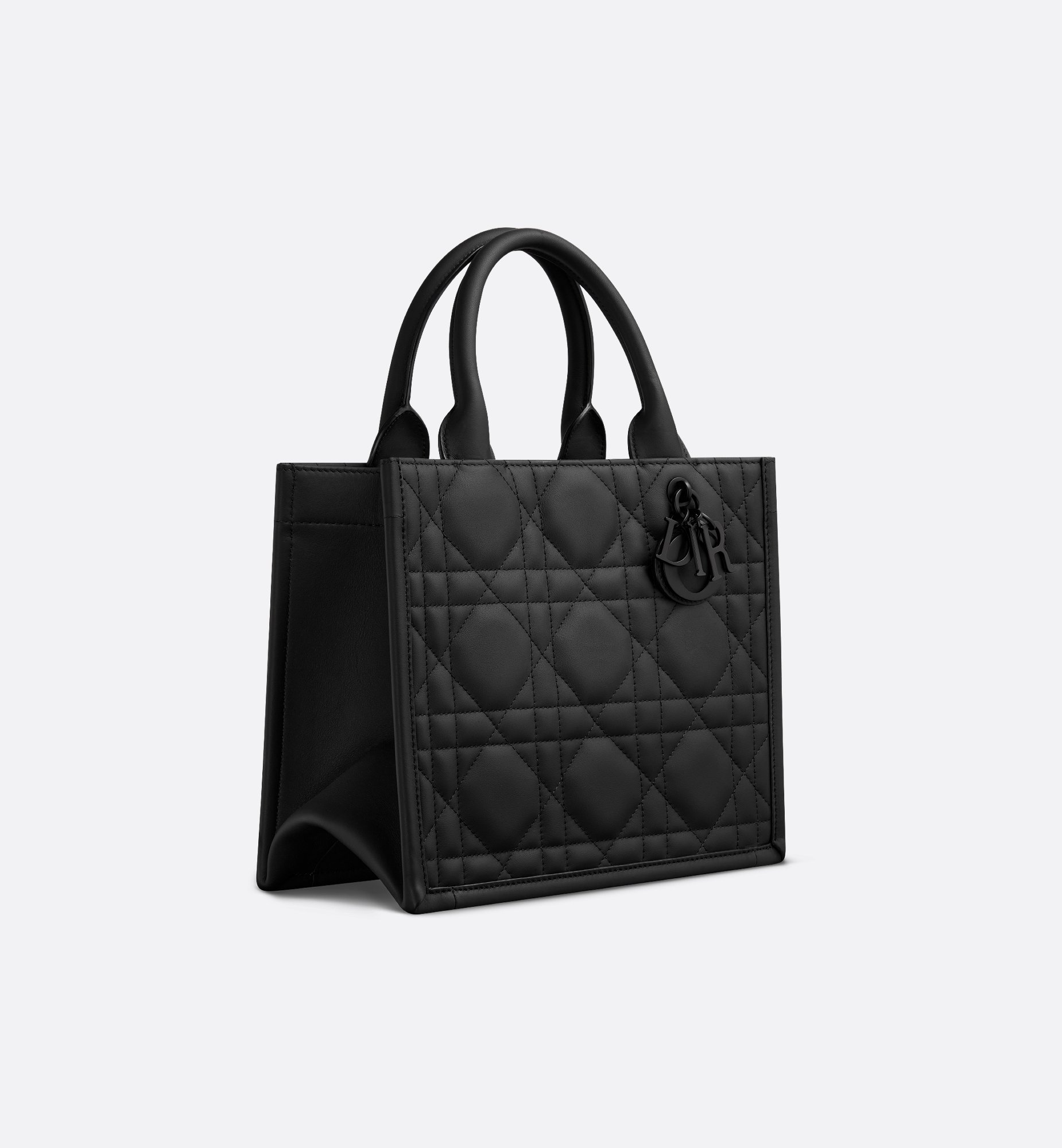 Dior Small Book Tote M1325SLOI_M900