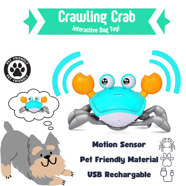 (💥Last Day Promotions-50% OFF)--Crawling Crab Sensory Toy--BUY 2 GET 10% OFF & FREE SHIPPING