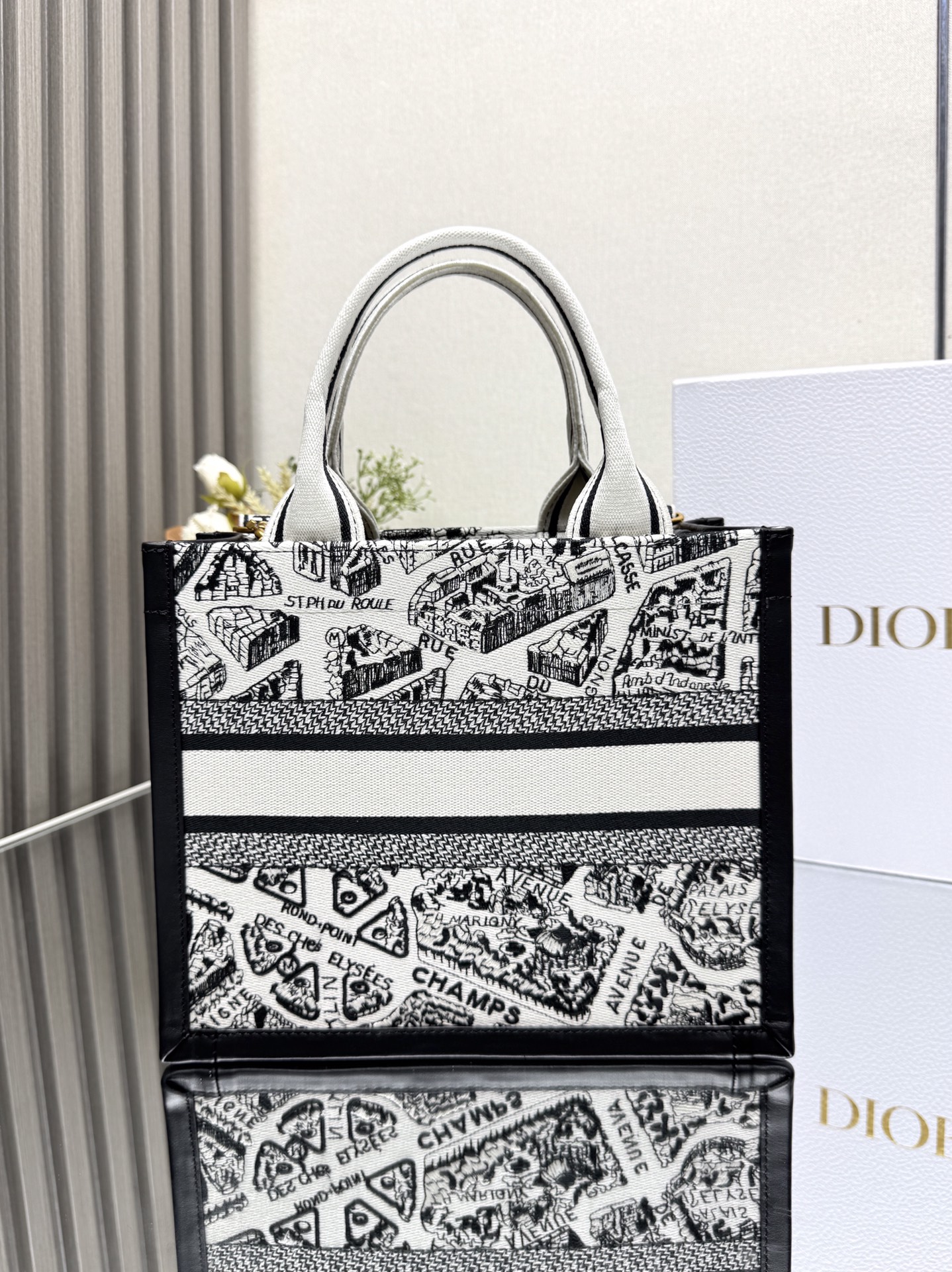 Dior Mini Book tote bag