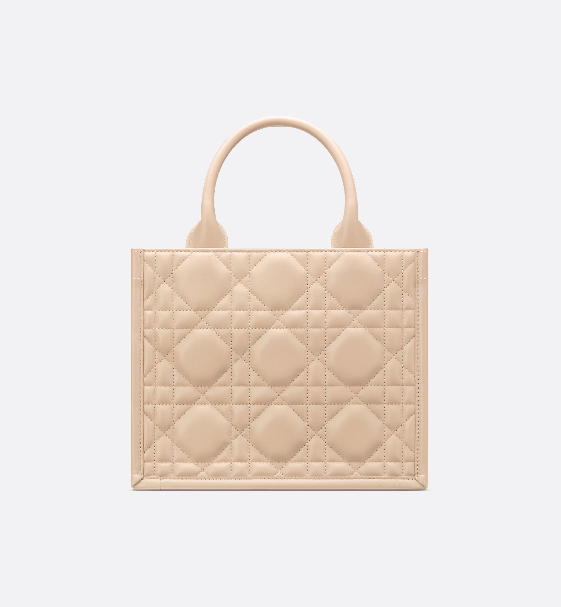 Dior Small Book Tote Bag M1325OWHP_M51U