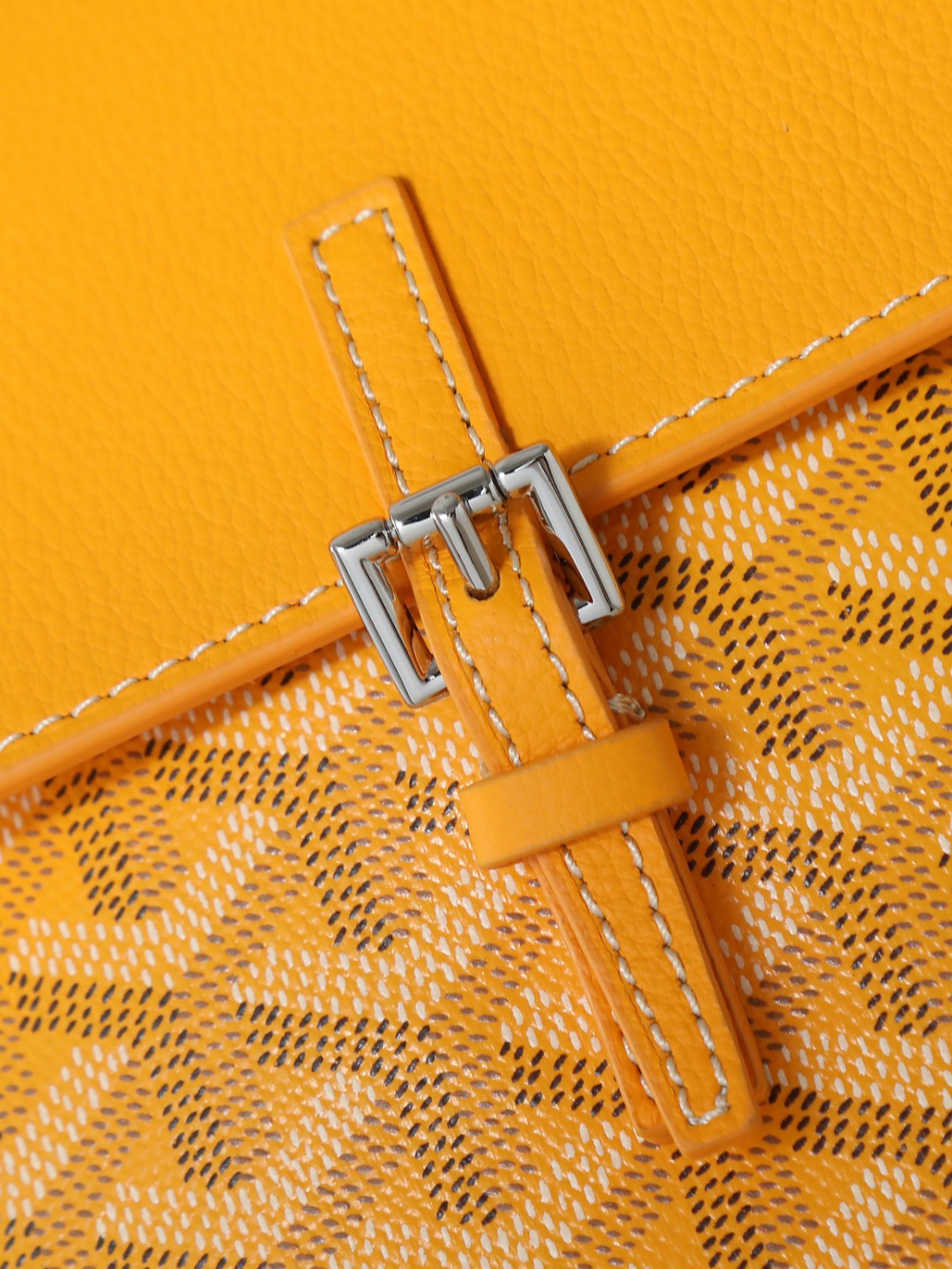 Goyard Aln Mini Backpack 020194