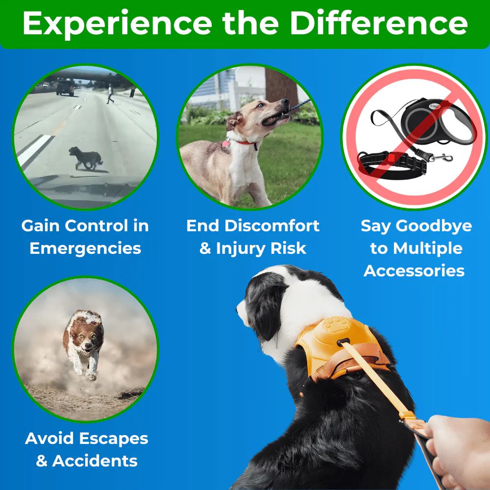 ComfyWalk - Comfort and Control in One