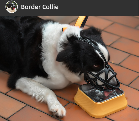dog safety muzzle