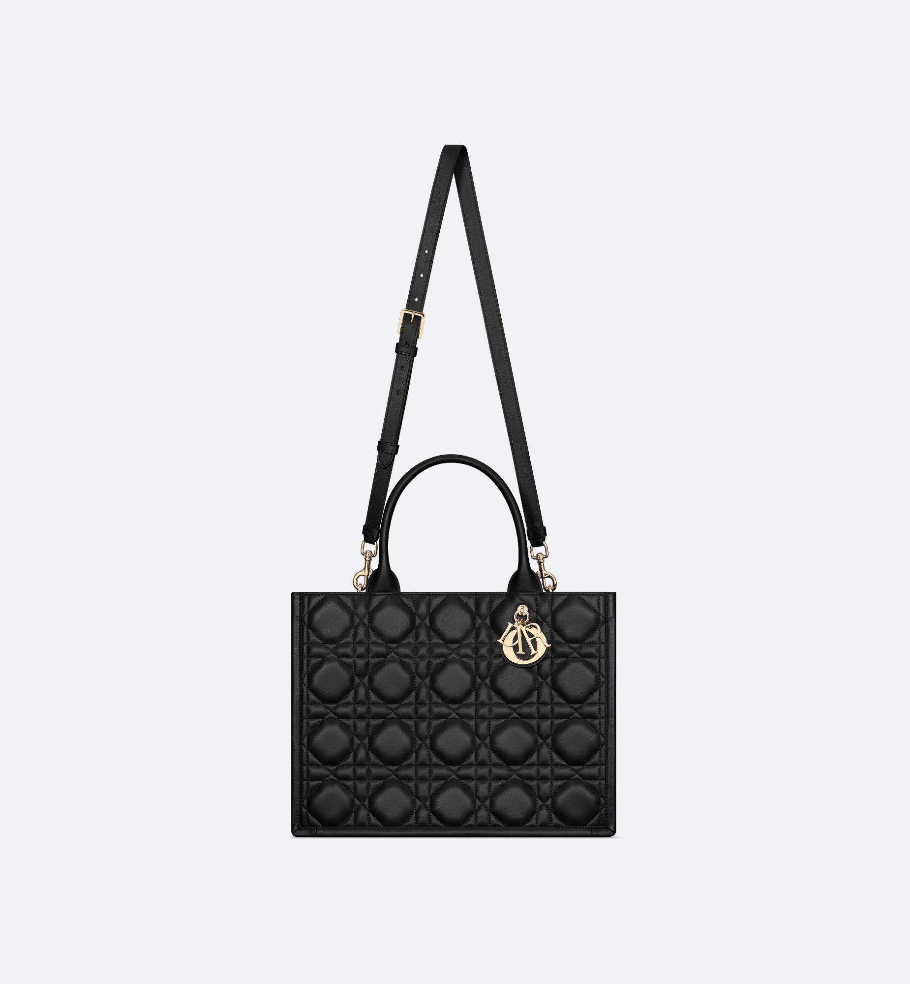 Dior Medium Book Tote Bag M1324OWHP_M900