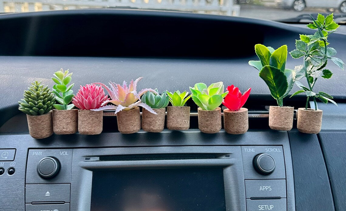 Fresh Florals® Succulent Air Freshner Vent Clips