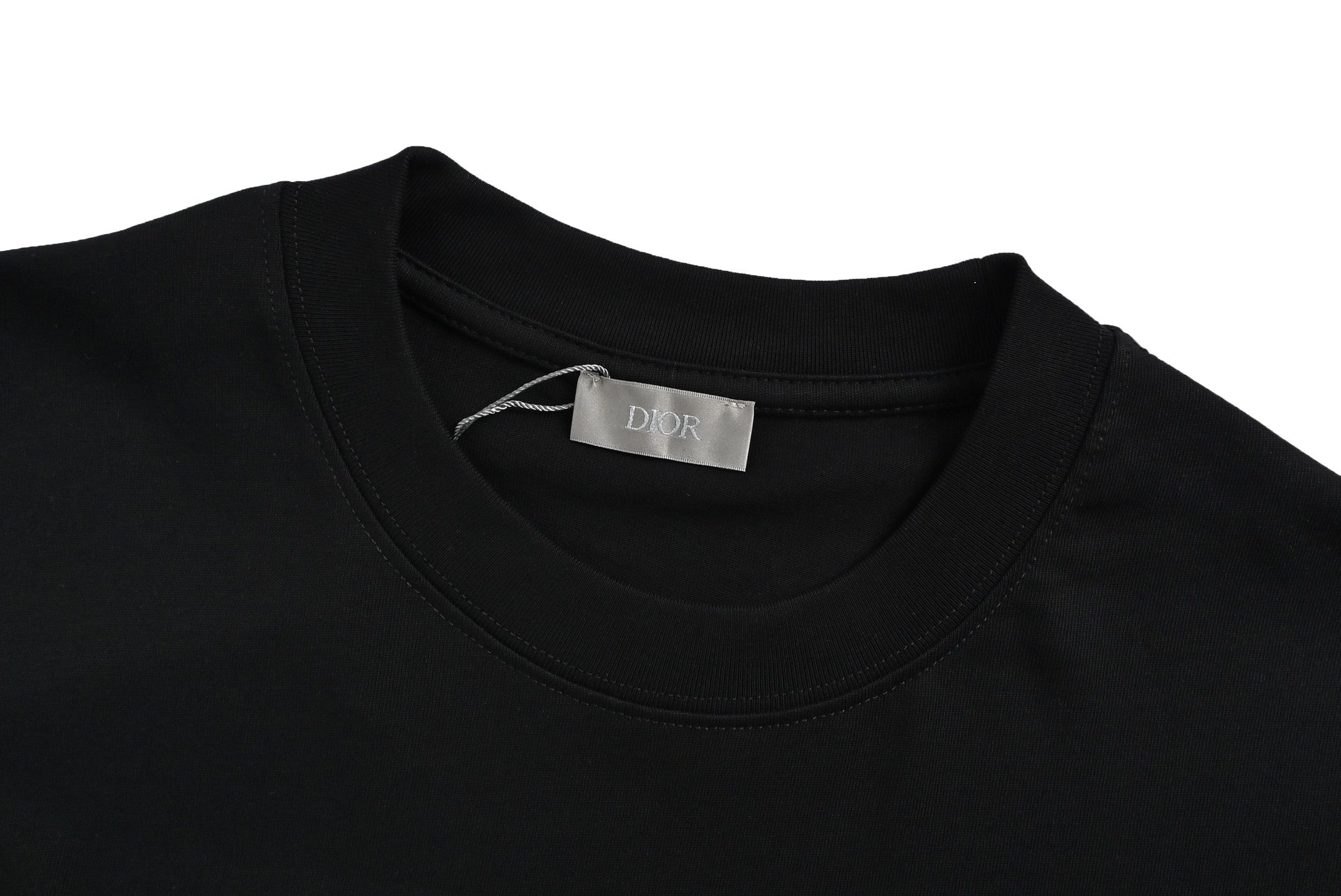 Dior 25ss letter dinosaur embroidered short sleeve