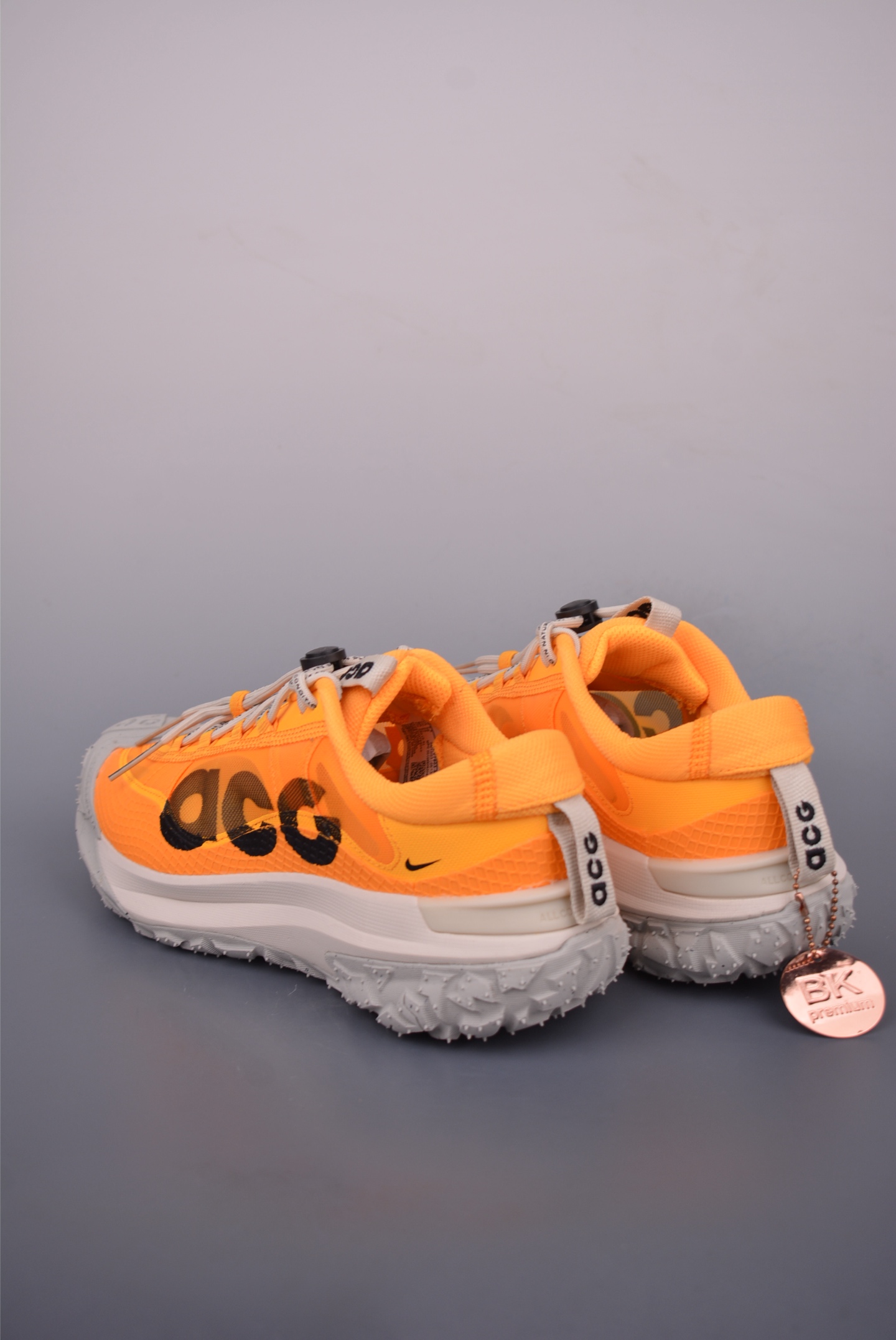 NikeACG MOUNTAIN FLY 2 LOW