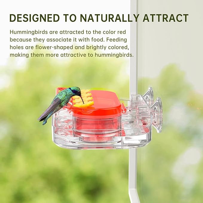 Top Selling🔥Window Hummingbird Feeder - Double Moat Guard Technology