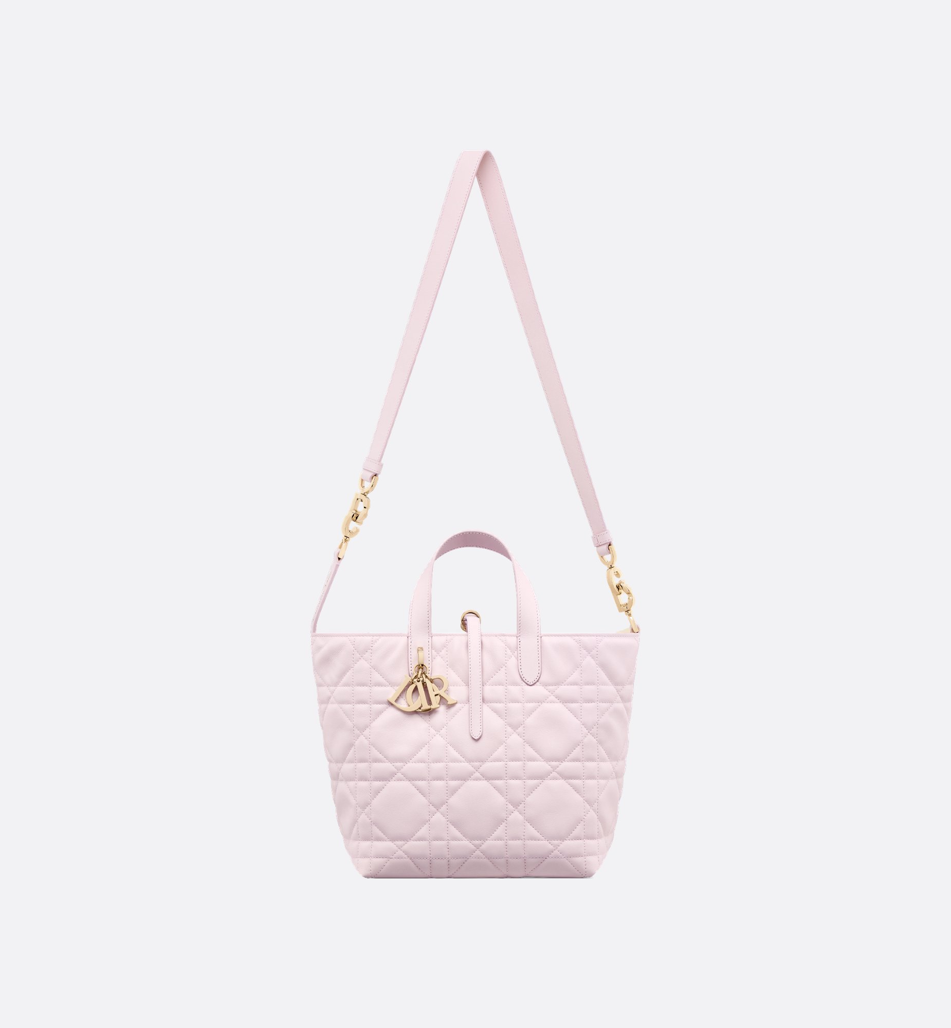 Dior Medium Dior Toujours Vertical Handbag M2836OSNW_M02N