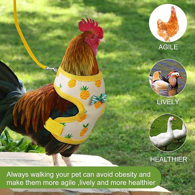 HOT SALE🔥Adjustable Chicken Harness