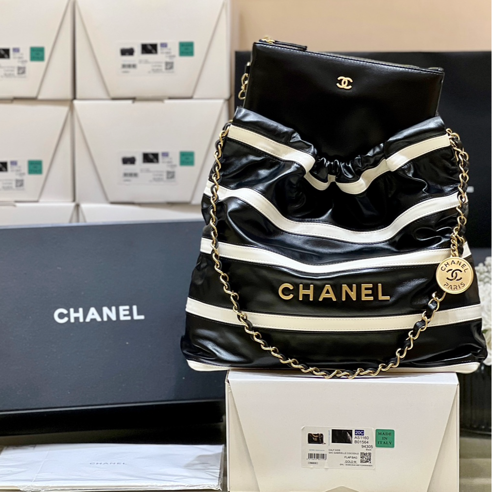 Chanel 24S Spring/Summer Collection Limited Edition Colorblock Handbag AS3260