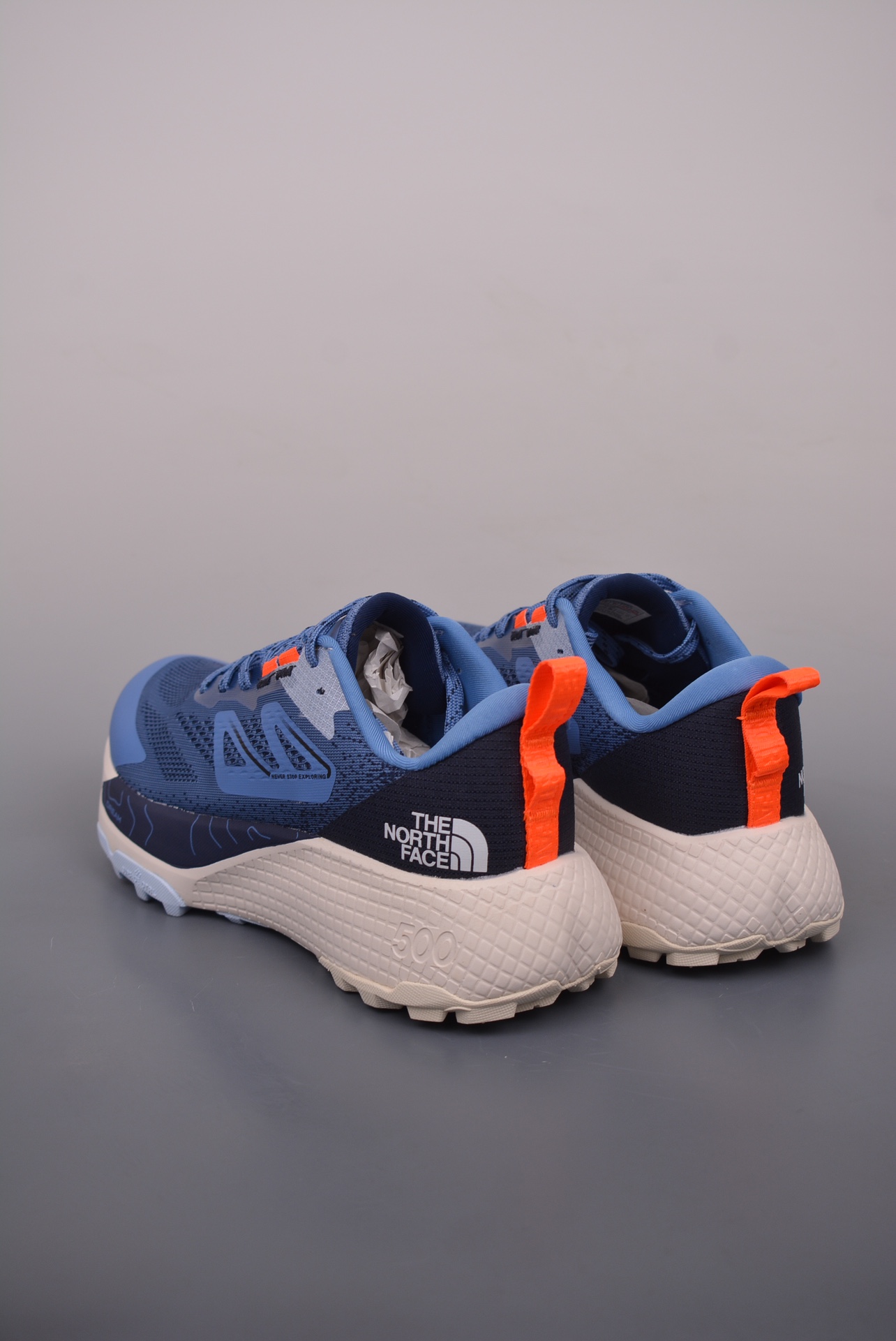 The North Face Altamesa 500 Sneakers Blue NF0A8A9PSOC