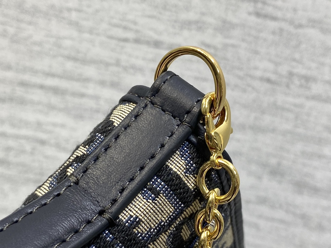 Dior 30 Montaigne Cigale Chain Bag