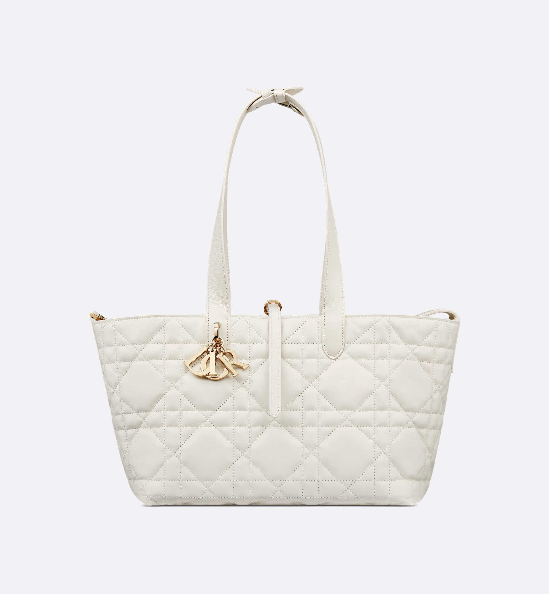 Dior Medium Dior Toujours Bag M2821OSNW_M030