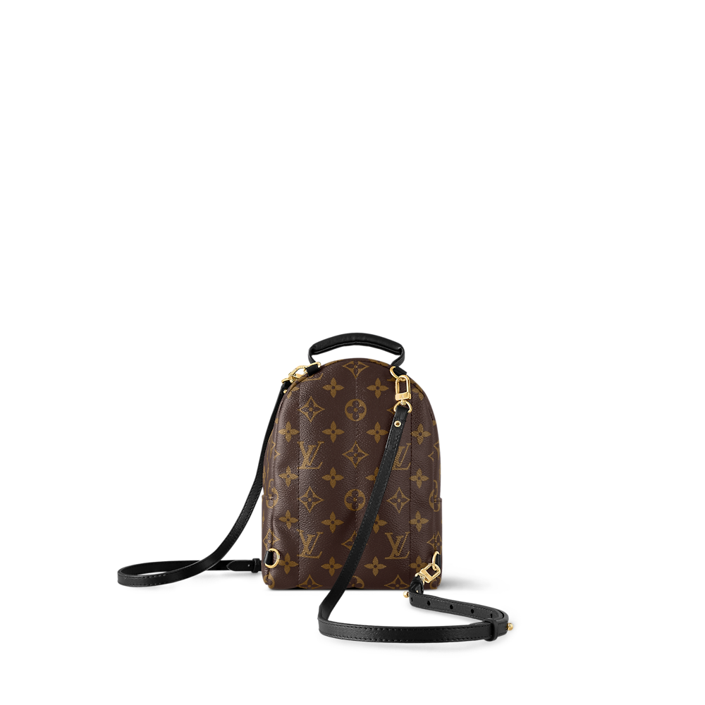 Louis Vuitton PALM SPRINGS Mini Backpack M44873