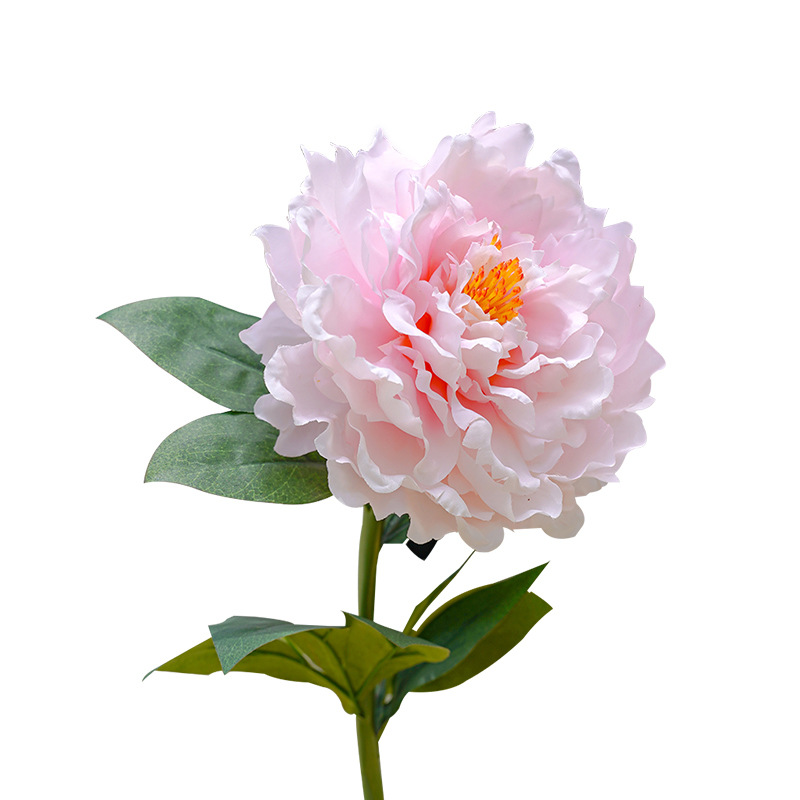 💥Last Day Promotion-[SAVE 50% OFF]--Solar Peony Flower Decorative Light--BUY 3 GET 10% OFF & FREE SHIPPING