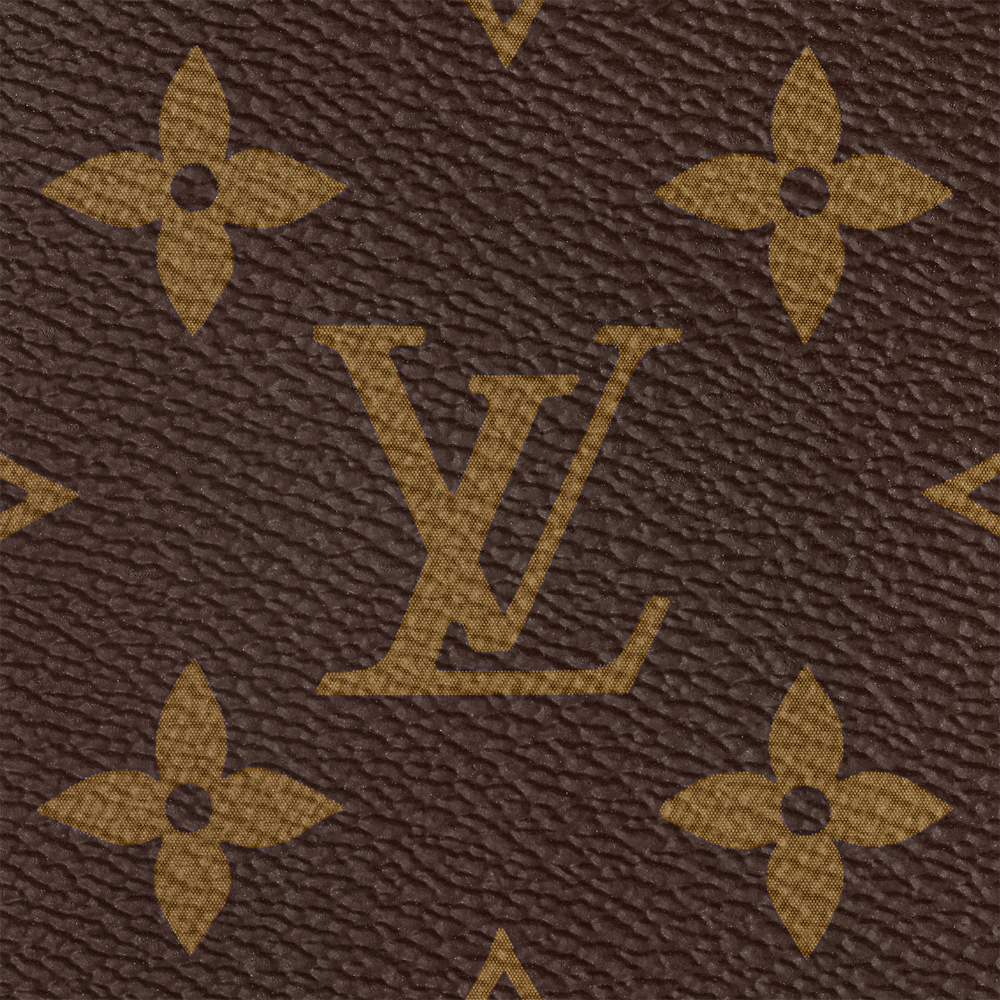 Louis Vuitton MULTI POCHETTE ACCESSOIRES Bag M44813