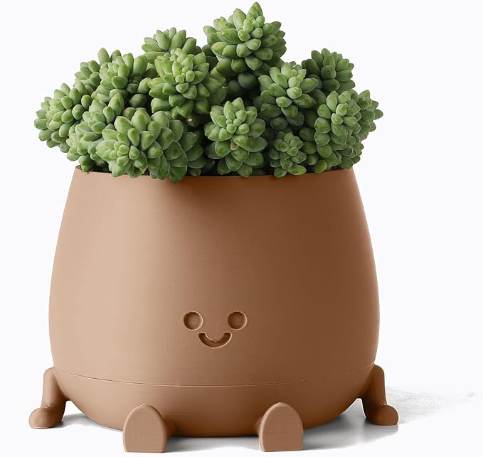 Cute Smiley Face Flower Pot💥 (Self-Watering Flower Pot with Drainage Hole)
