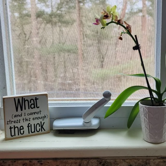 What The F*ck Wood Block Sign | Motivational Saying