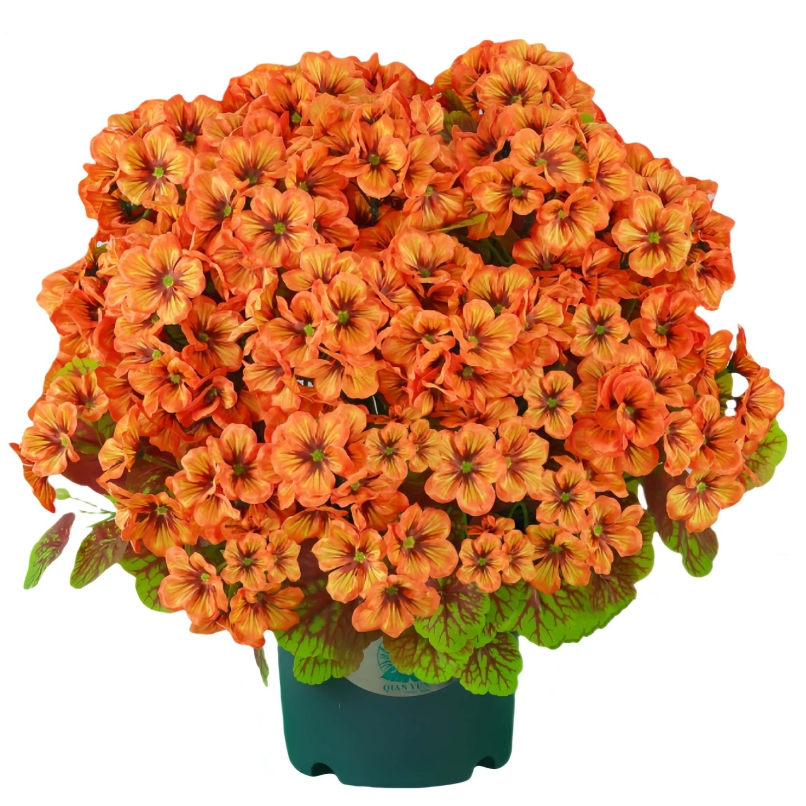 🔥Super Sale - 49% OFF🔥21