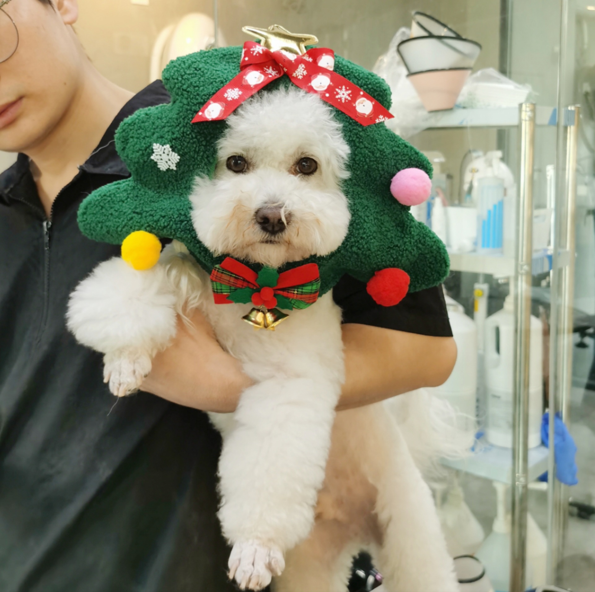 Handmade fleece Christmas Tree Costume Hat for Cat Dog