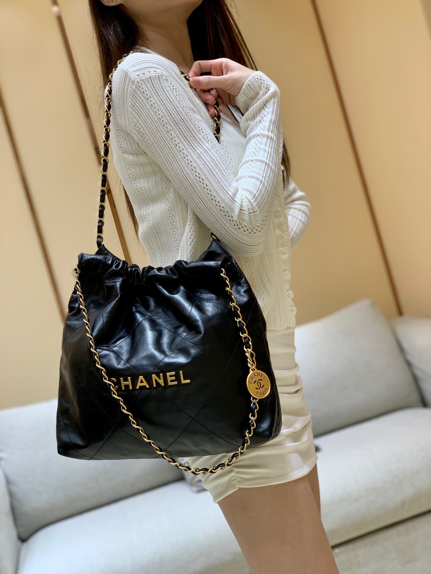 Chanel 2022cc Spring/Summer Collection Handbag AS3260