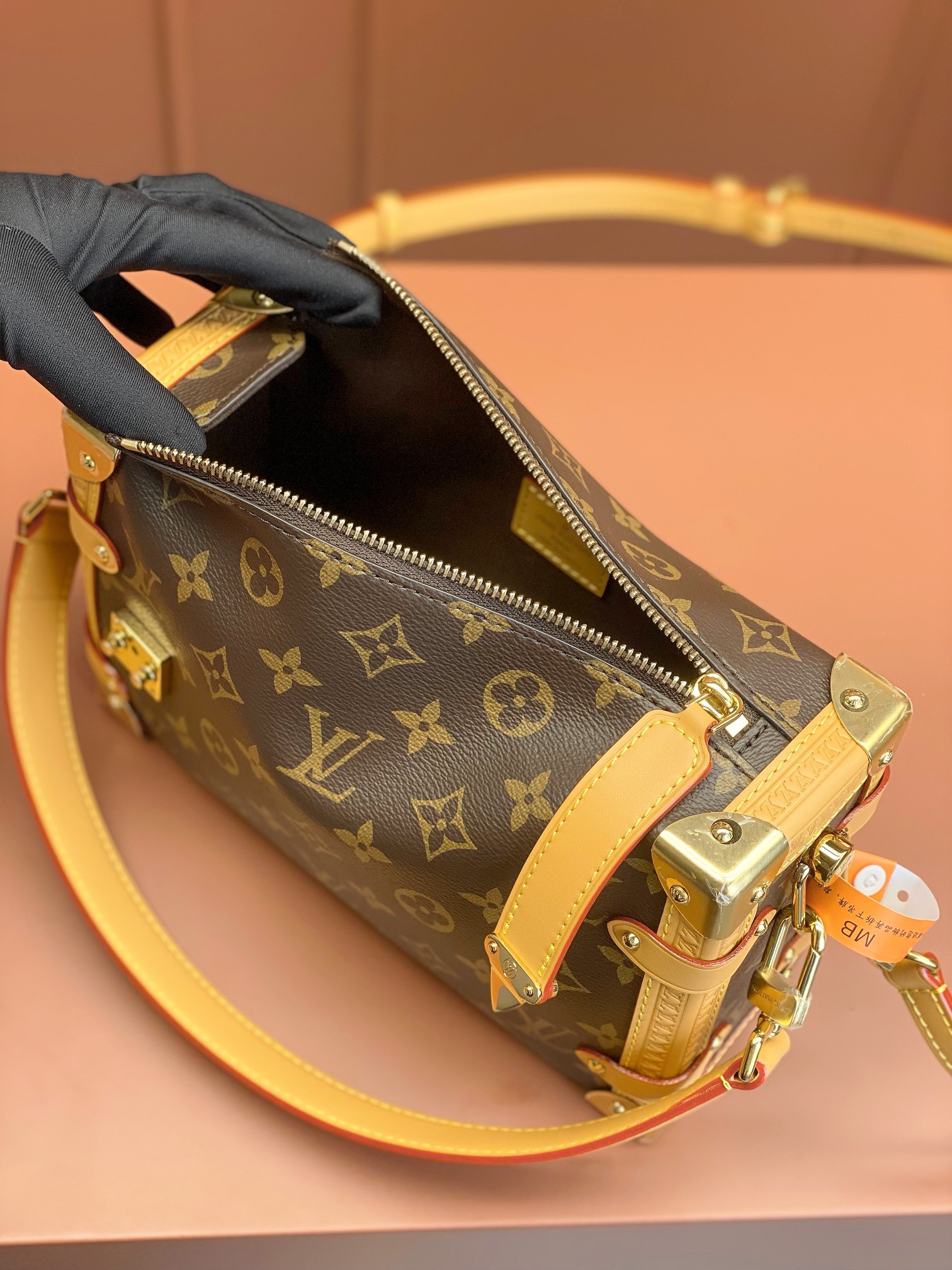 Louis Vuitton SIDE TRUNK Bag M46358