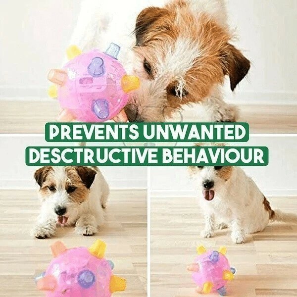 (💥Last Day Promotions-50% OFF)--Upgraded version- Jumping activation ball for dogs and cats--BUY 3 GET 2 FREE & FREE SHIPPING
