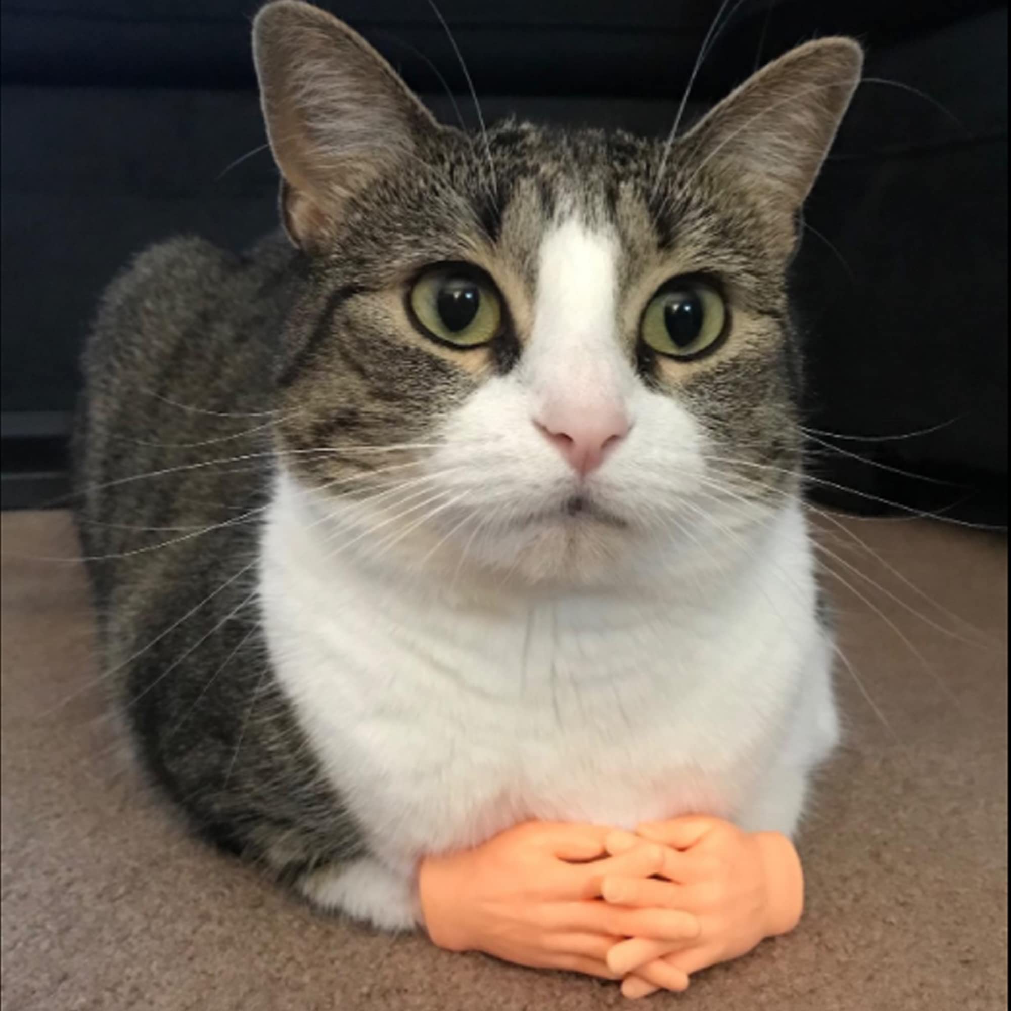 Funny Fingers-Tiny Finger Hands