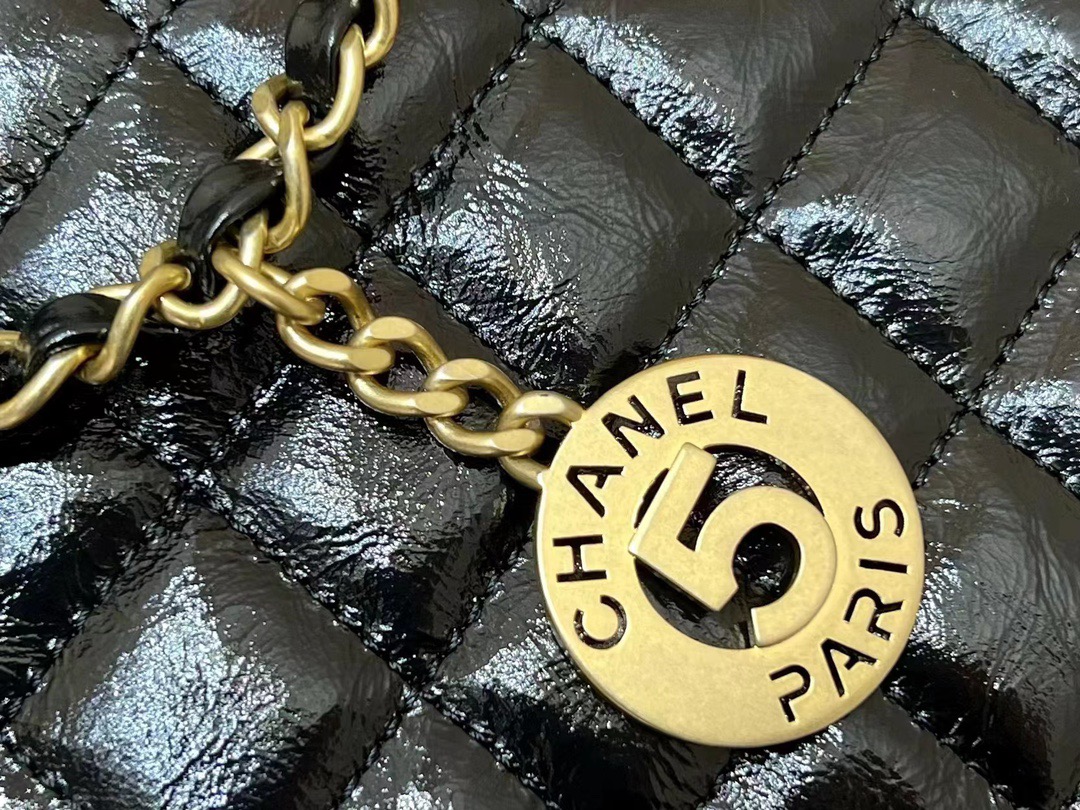 Chanel 23P Spring/Summer Series No. 5 Gold Coin Hobo Hippie Bag 3710