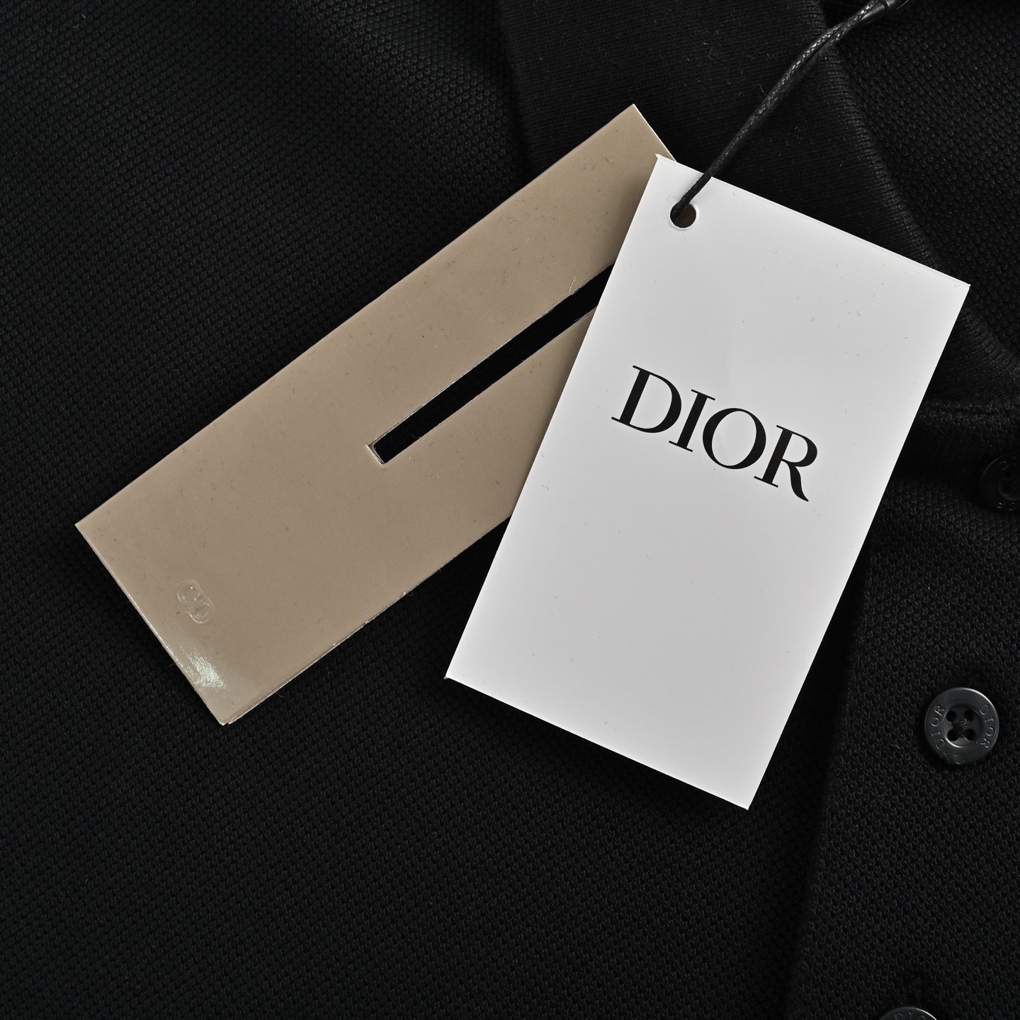 Dior 25ss signature letter embroidered Polo short sleeve