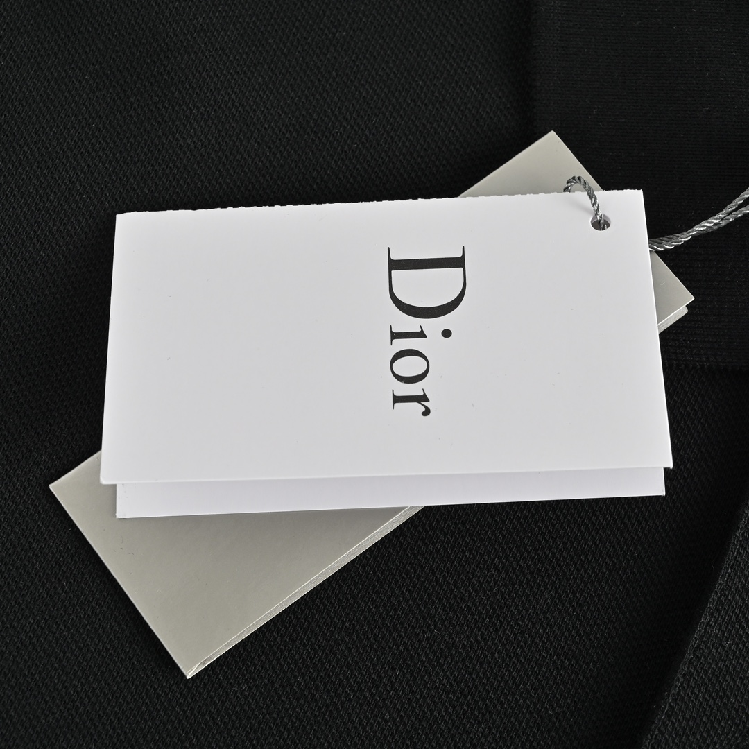 Dior 22ss embroidered CD letters Polo short sleeve