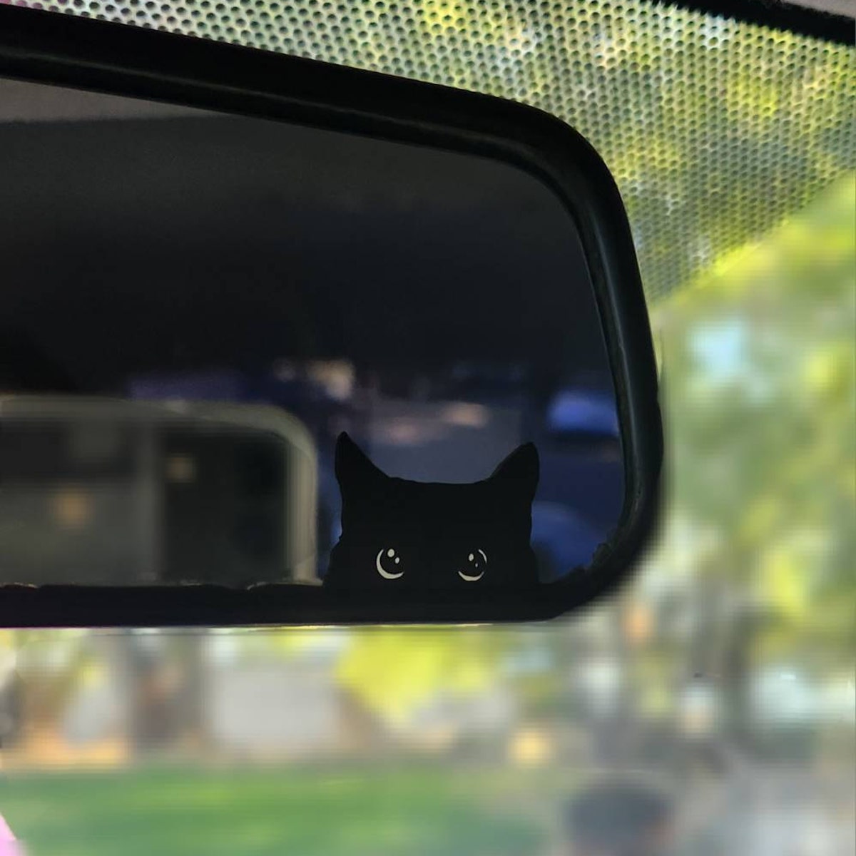 Cat Peeker Decal