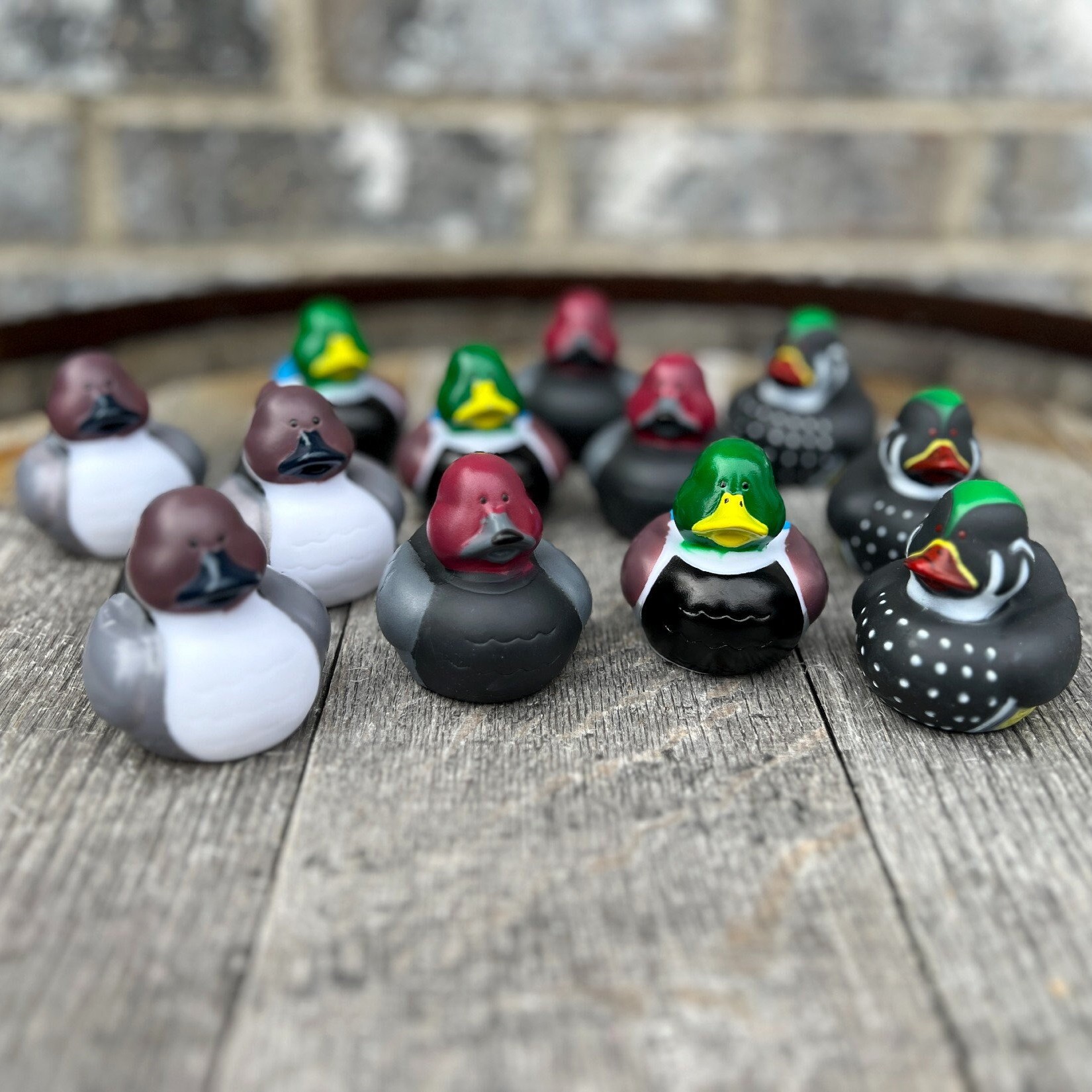 Cute Duck Hunting | Funny Rubber Duck Gifts