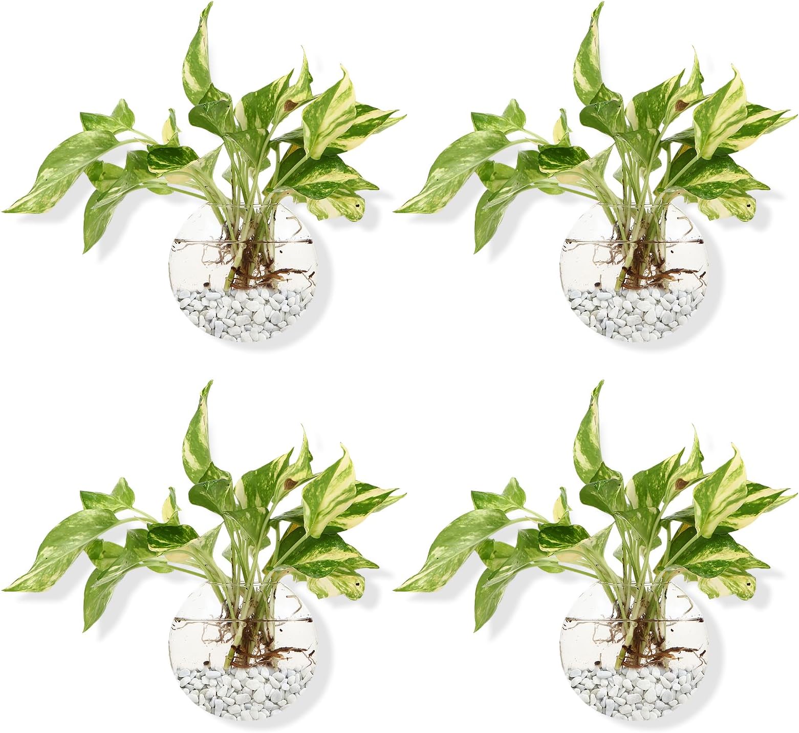 Wall Hanging Planter Propagation Station Glass Flower Vase