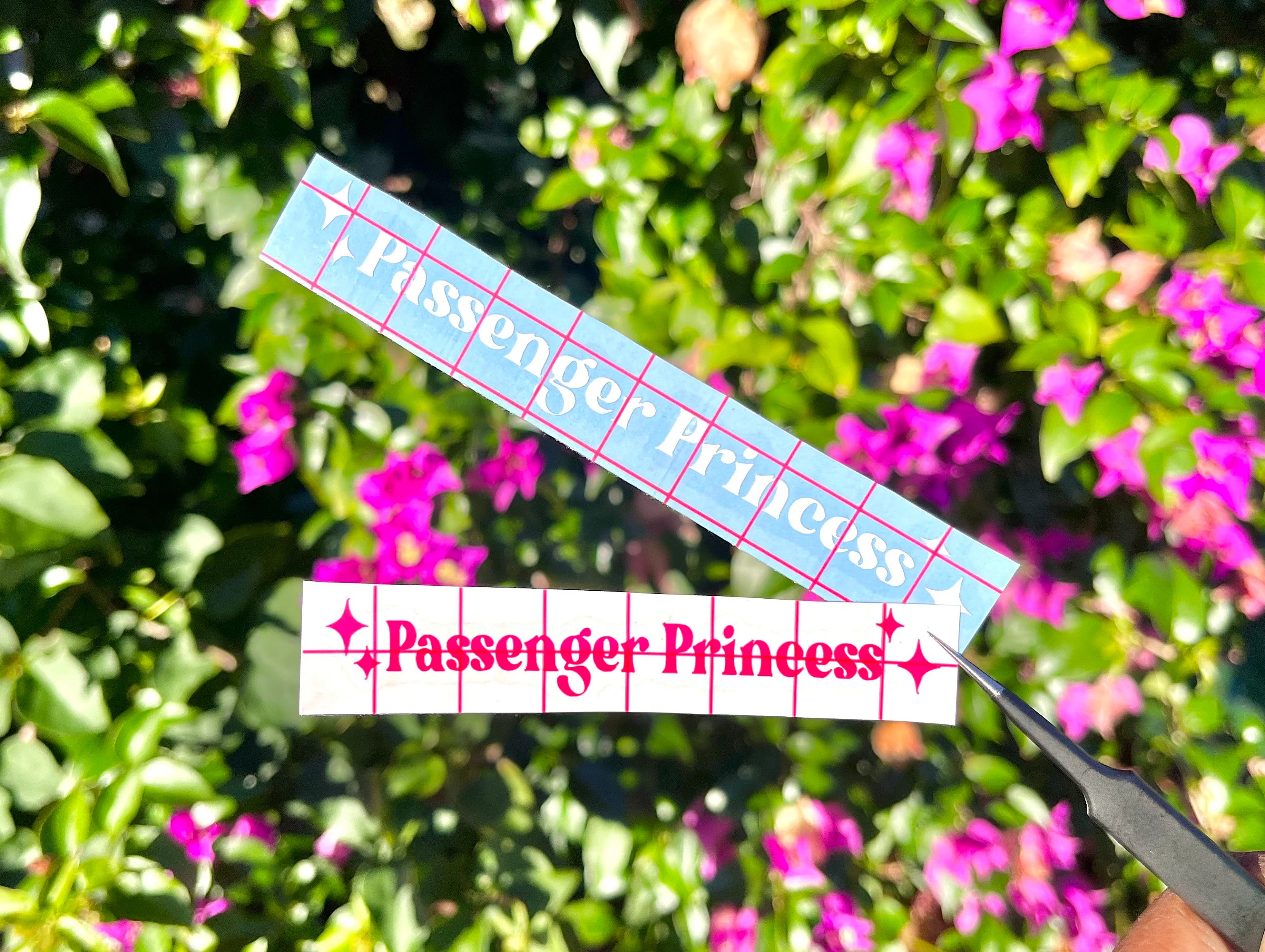 Passenger Princess Mirror Car Decal👑