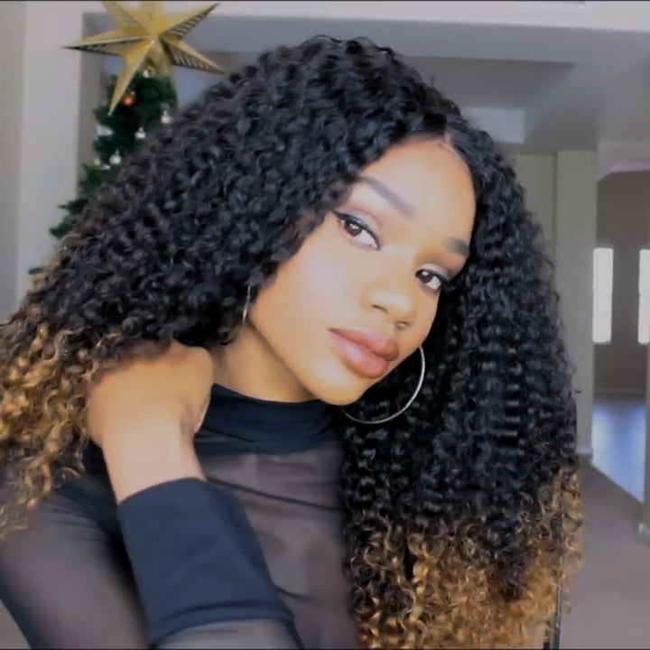 Natural Wig, Best Wig Ever Type Hair