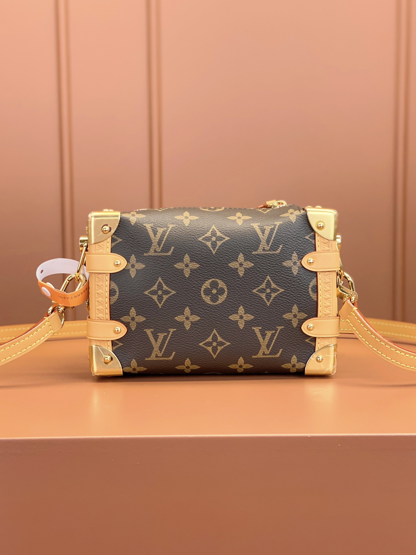 Louis Vuitton SIDE TRUNK MiNi Bag M46815