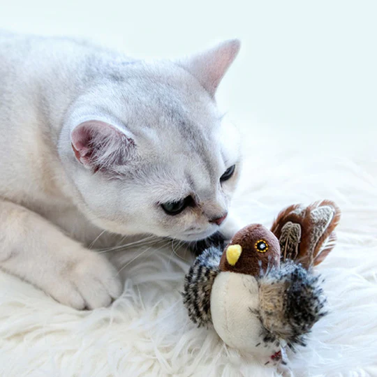 HOT SALE🔥😺Cat Toys - Analog Chirping Birds