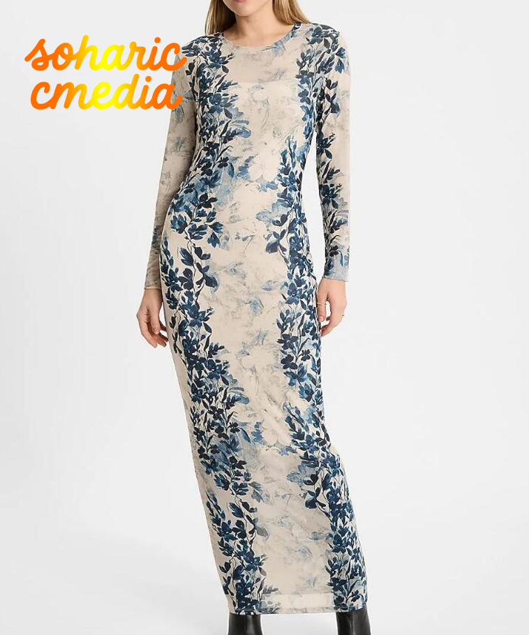Printed Mesh Crew Neck Long Sleeve Maxi Dress