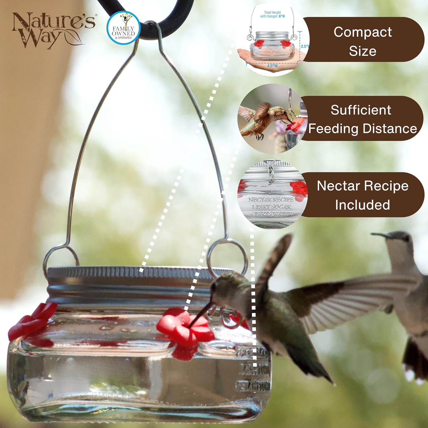 🔥Last Day Sale 50% OFF💥Beautiful Mason JarHummingbird Feeder