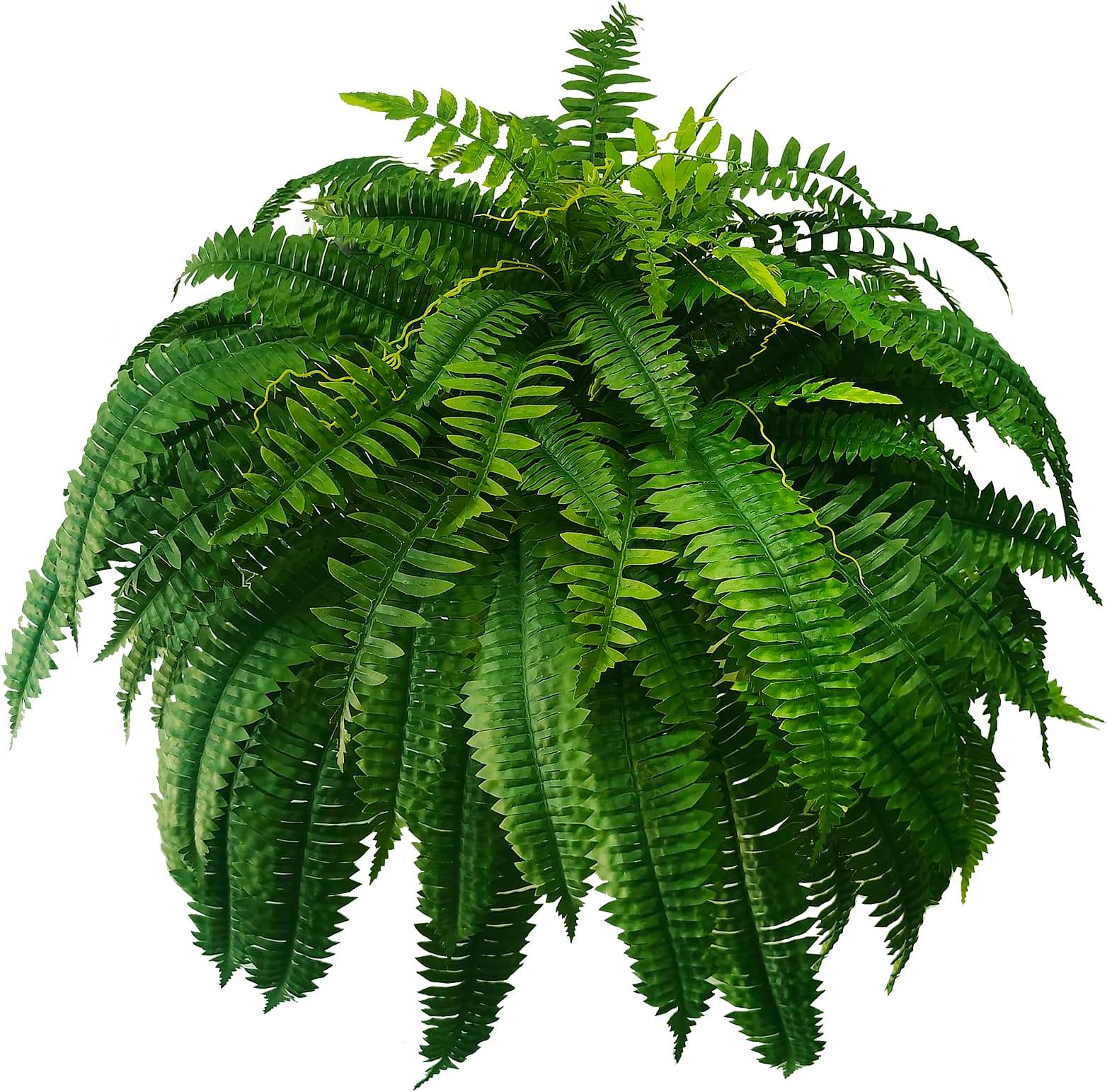 🔥ON SALE🔥Silky Artificial Boston Fern Bush