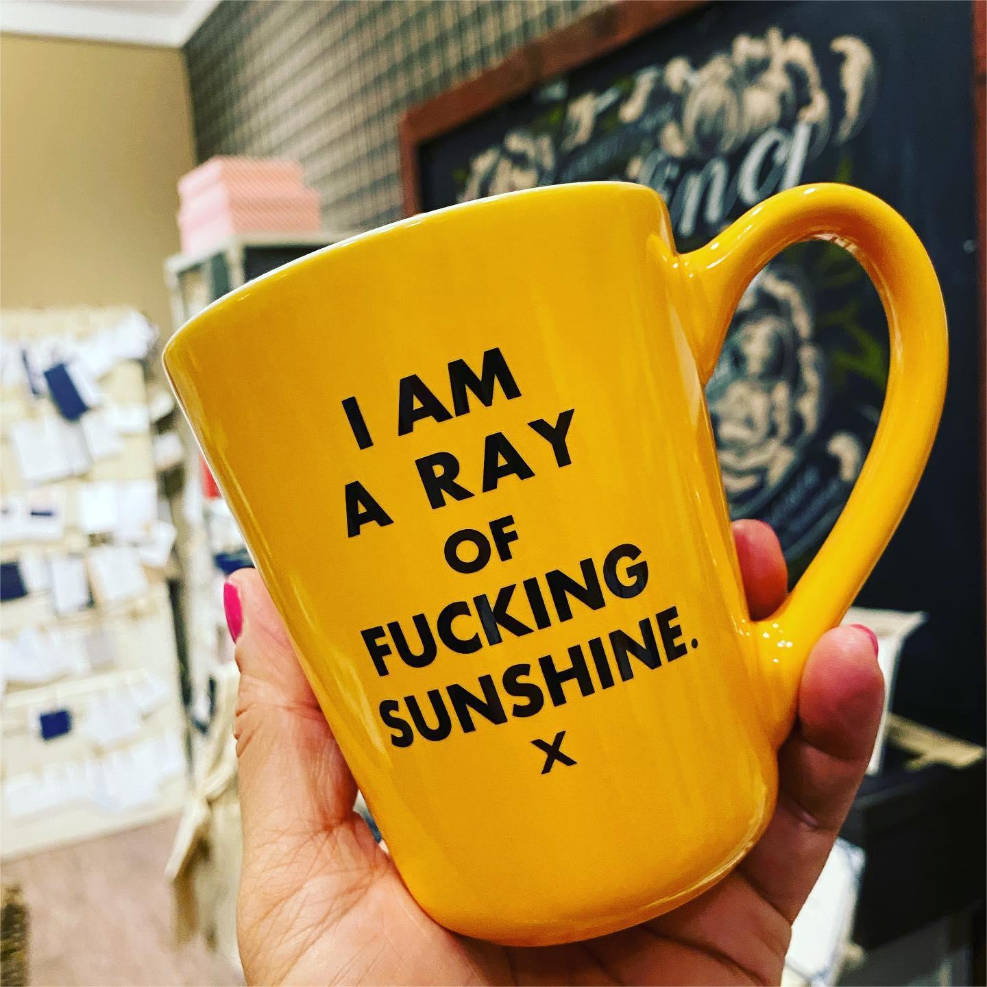 I Am A Ray Of F*cking Sunshine Mug | Funny Gift