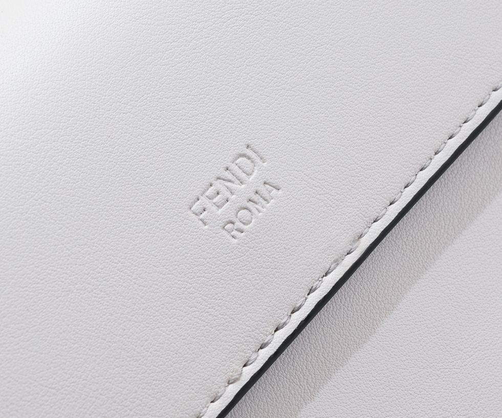 FENDI FF Logo Mania handbag 8806