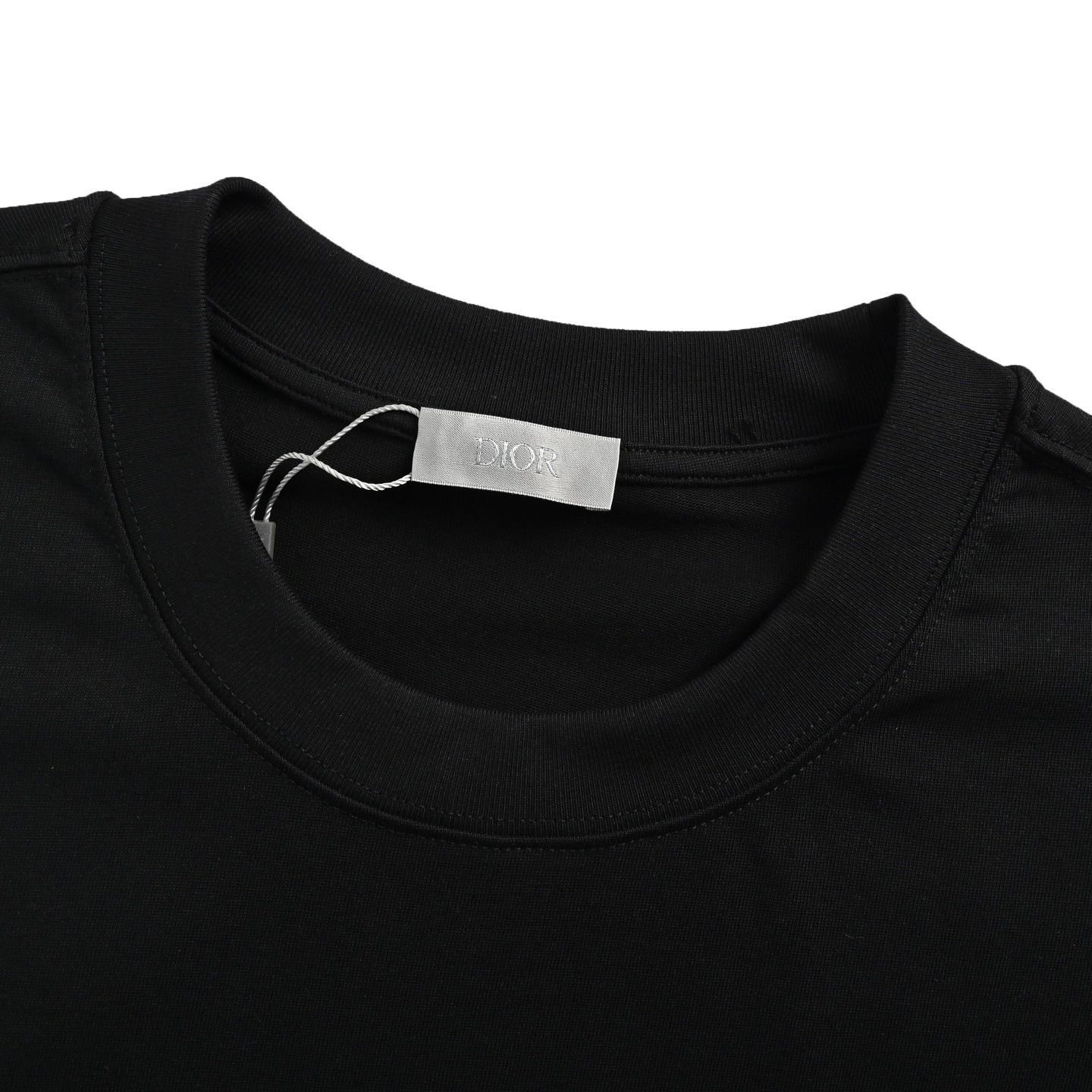 Dior 25ss blue flocked letter embroidered short sleeve